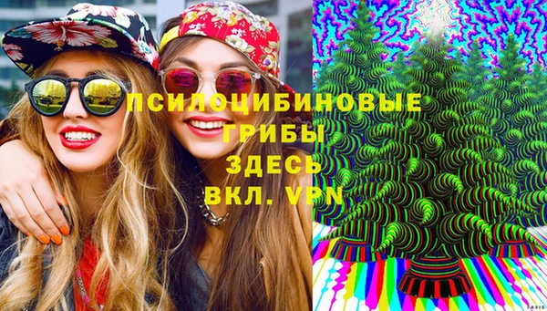 стаф Богородицк