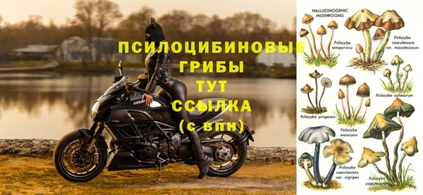 стаф Богородицк