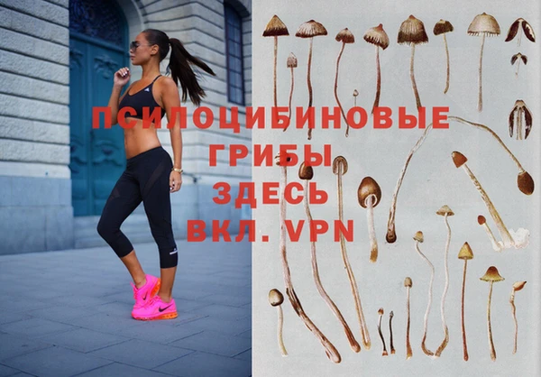 Альфа ПВП Богданович