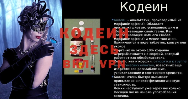 стаф Богородицк