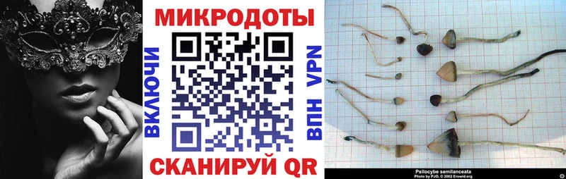 нарко площадка состав  наркошоп  Фёдоровский  Галлюциногенные грибы GOLDEN TEACHER 
